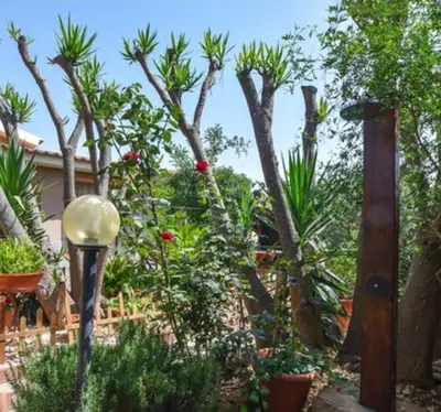 Giardino di CASA DI ALICE A 250 METRI DAL MARE