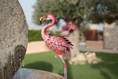 Altri animali domestici presso la villa o nei dintorni