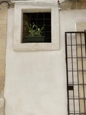 Planimetria di Cactus 31