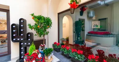 Giardino di Siculis