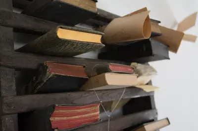 Biblioteca nell'appartamento