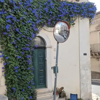 Casa verde Dafni