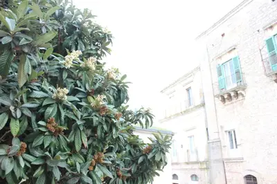 Planimetria di La Casa del Nespolo