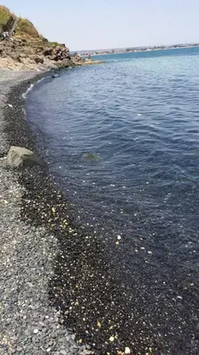Paesaggio naturale nelle vicinanze della casa vacanze
