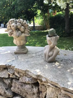 Giardino di Oasi di Campagna