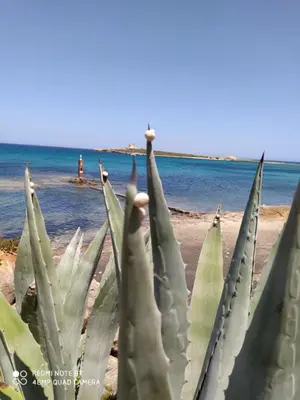 Paesaggio naturale nelle vicinanze della casa vacanze
