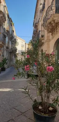 Planimetria di Apartment Bedda Mia