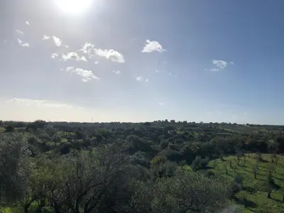 Paesaggio naturale nelle vicinanze della casa vacanze