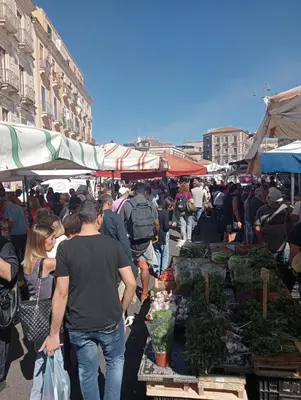 Ospiti di A casuzza