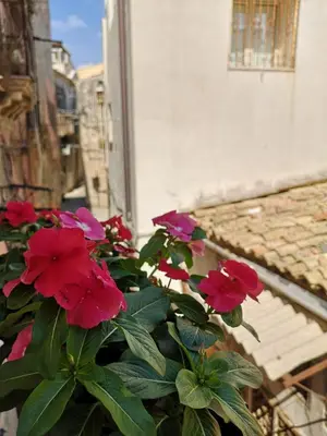 Planimetria di La Vanedda apartment
