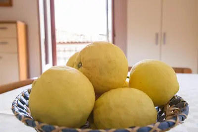 Cibo presso l'appartamento o nelle vicinanze