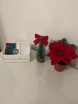 Planimetria di Antica Dimora Maravigna