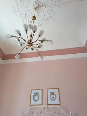 Planimetria di Diletta Oasi