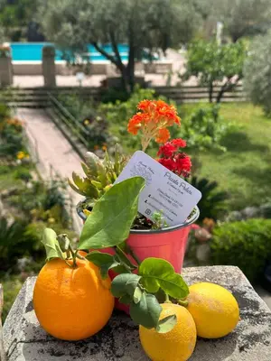 Giardino di Piccolo Podere