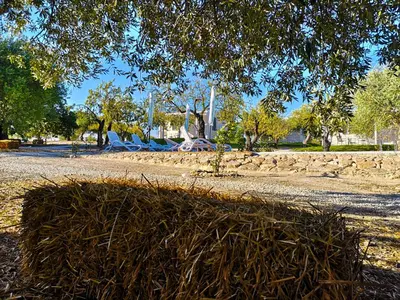 Giardino di Mennuli&Alivi - Organic Farm