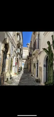 Il quartiere o una zona nella vicinanze dell'appartamento