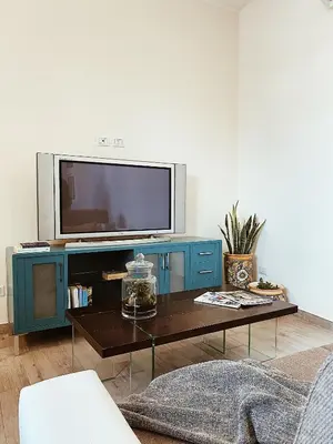 TV o dispositivi per l'intrattenimento presso La casetta al maneggio