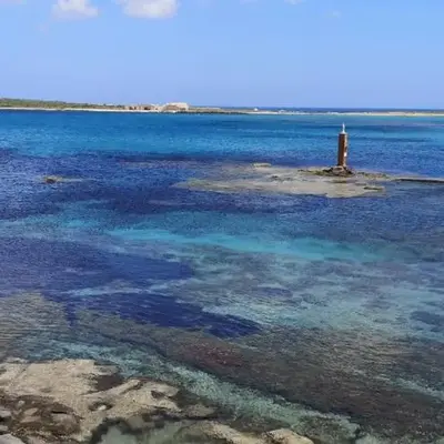 bagghìu-cicogna