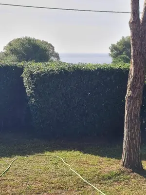 Paesaggio naturale nelle vicinanze della villa