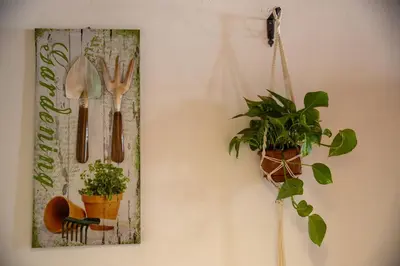 Planimetria di Casa ro cori, 10 minuti a piedi dalla Cattedrale