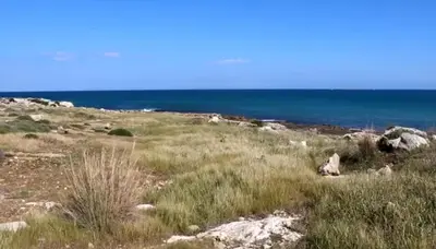 Paesaggio naturale nelle vicinanze dell'appartamento