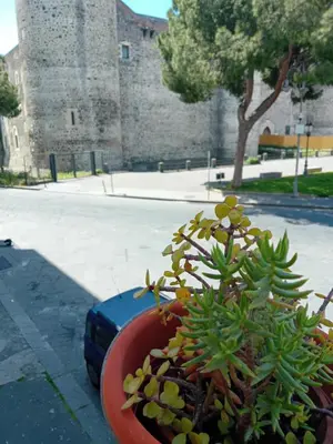 Giardino di 3a casavacanza