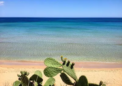 Paesaggio naturale nelle vicinanze della casa vacanze