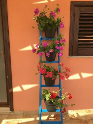 Giardino di La stanza delle Muse in Villa con Piscina