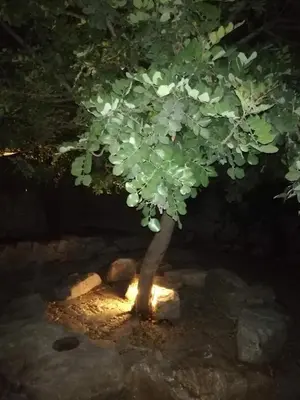 Planimetria di Agriturismo Fondo Paliemmu