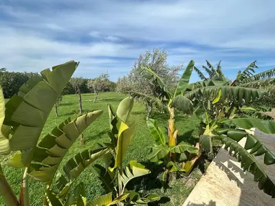 Giardino di Baglio il Gelso e l'Ulivo appartamento il Carrubo