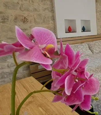 Planimetria di B&B Cuore Barocco