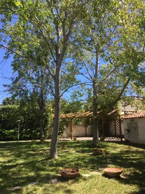 Giardino di Villa dei Pioppi