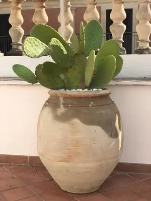 Planimetria di Casa negli Iblei