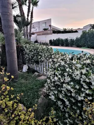 Piscina di Dependance Oscar o nelle vicinanze