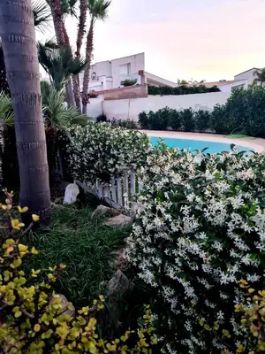 Piscina di Dependance Oscar o nelle vicinanze