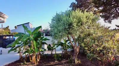 Giardino di VILLA MARE BLUE - casa vacanze a 150m dal mare