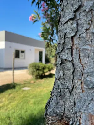 Planimetria di Camping Carratois