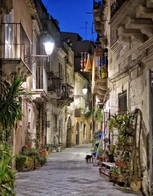 Il quartiere o una zona nella vicinanze dell'appartamento
