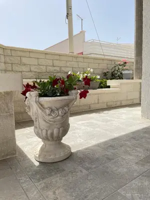 Planimetria di Villa Berenice