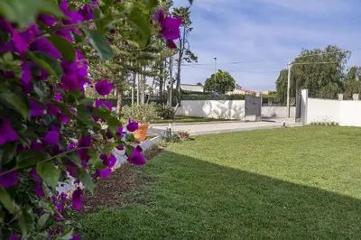 Giardino di Villa Orietta