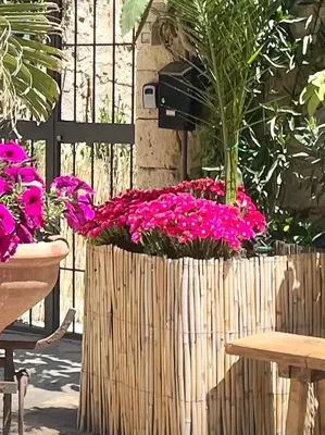 Giardino di Case Mirabella in Ortigia