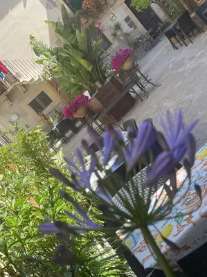 Planimetria di Case Mirabella in Ortigia