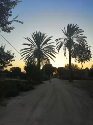 Alba o tramonto visti dall'interno dell'appartamento o dai dintorni
