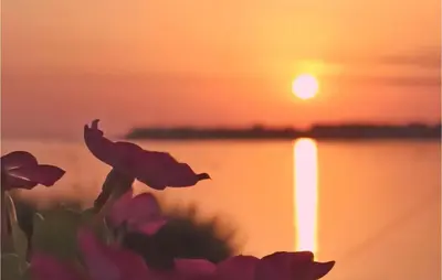 Paesaggio naturale nelle vicinanze della casa vacanze