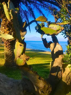 Paesaggio naturale nelle vicinanze della casa vacanze