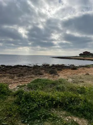 Paesaggio naturale nelle vicinanze della casa vacanze