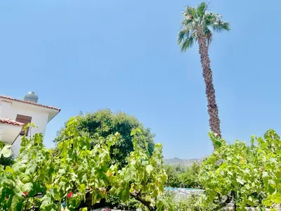 Paesaggio naturale nelle vicinanze della casa vacanze