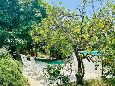 Piscina di The Great Garden with pool, parking & wifi o nelle vicinanze
