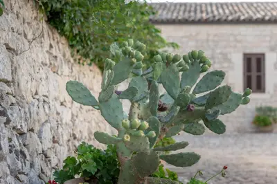 Planimetria di Villa Angelina - IsulaTravel
