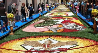 Ospiti di La casa di Marta